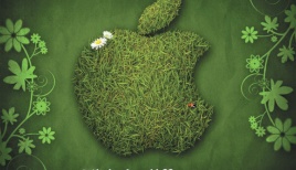 apple