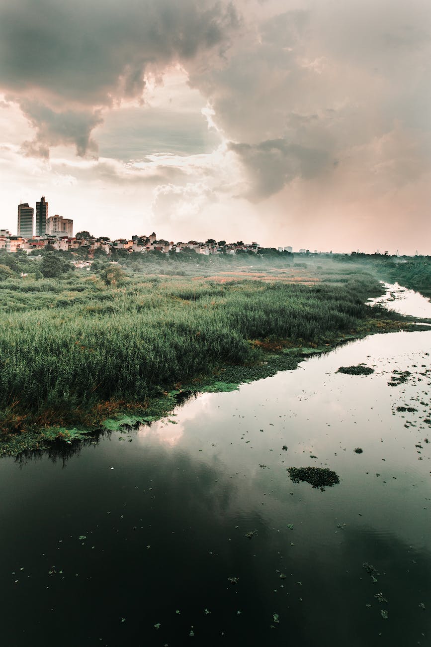 photo of wetlands