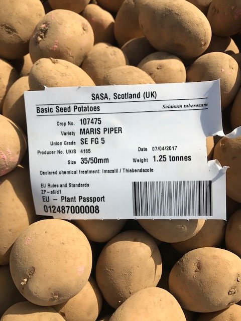 La CE publica las especies vegetales para plantación no exentas de trazabilidad en el pasaporte fitosanitario